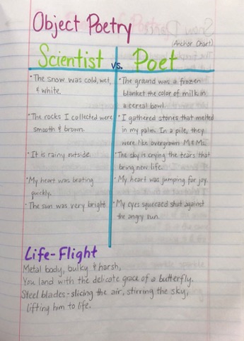Thinking Like a Poet vs. a Scientist